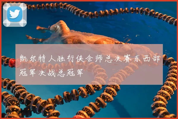 凯尔特人独行侠会师总决赛东西部冠军决战总冠军