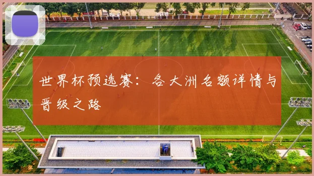 世界杯预选赛：各大洲名额详情与晋级之路