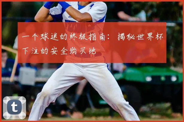 一个球迷的终极指南：揭秘世界杯下注的安全购买地