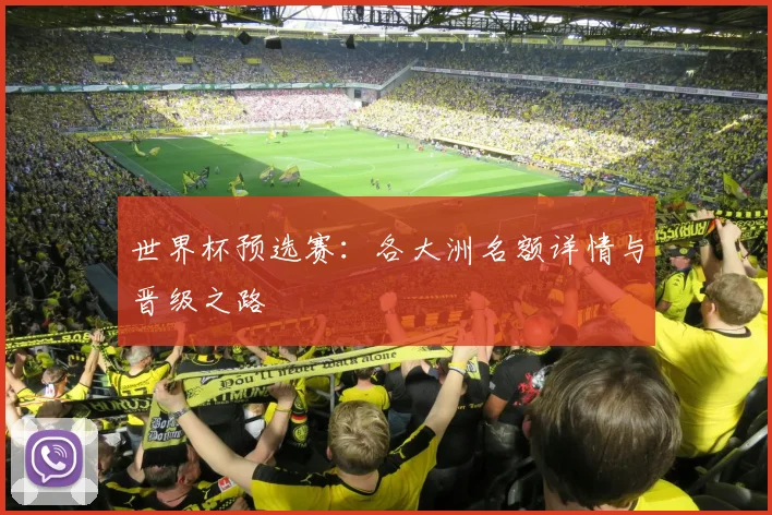世界杯预选赛：各大洲名额详情与晋级之路
