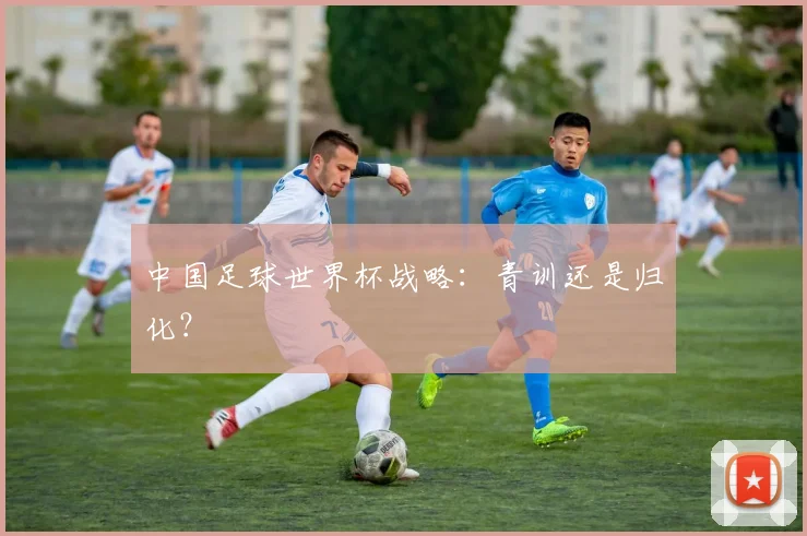 中国足球世界杯战略：青训还是归化？
