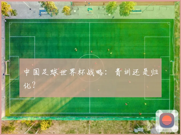 中国足球世界杯战略：青训还是归化？
