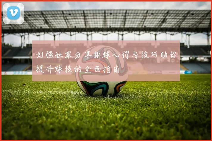刘强独家分享排球心得与技巧助你提升球技的全面指南