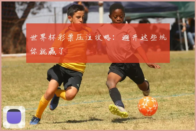 世界杯彩票压注攻略：避开这些坑你就赢了