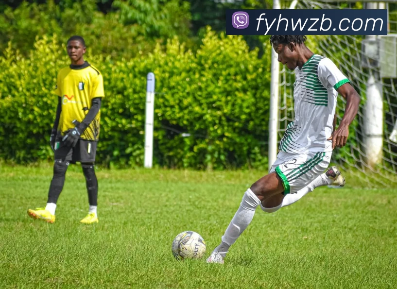 辅助工具 辅助工具